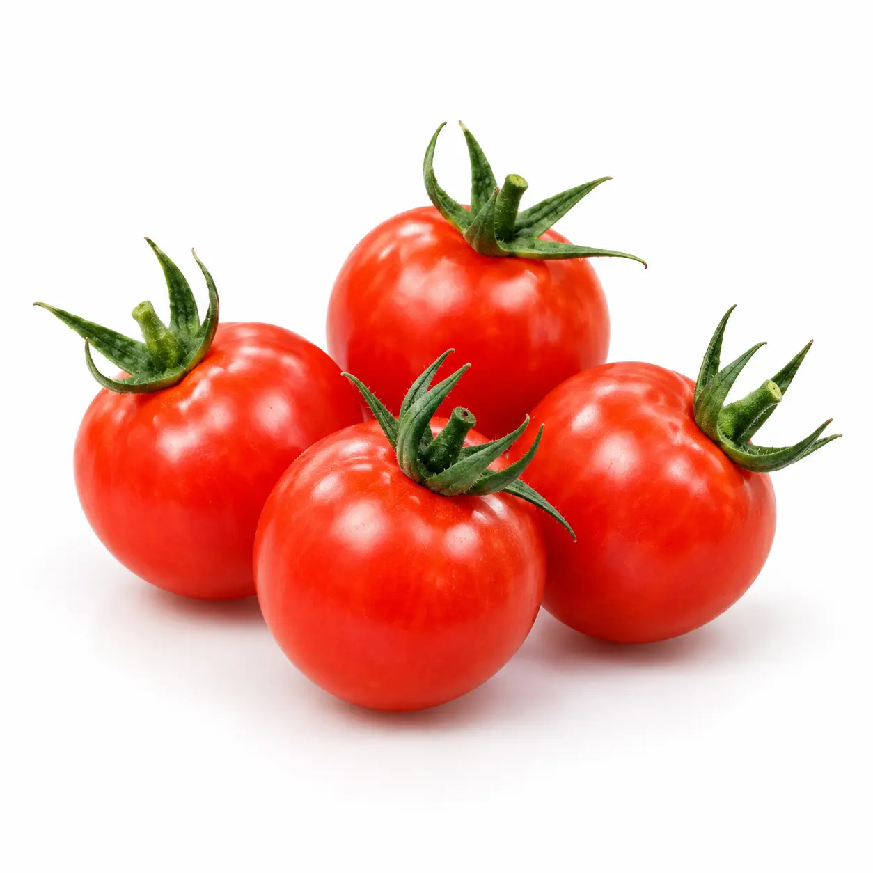 Variedad 12508 Tomate Cherry