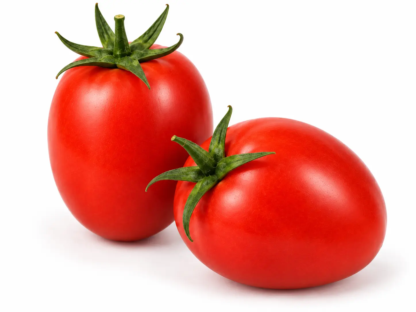 Variedad 12509 Tomate Pera