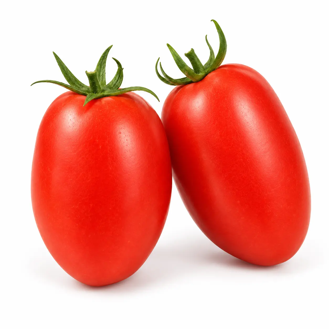 Variedad 12510 Tomate Pera