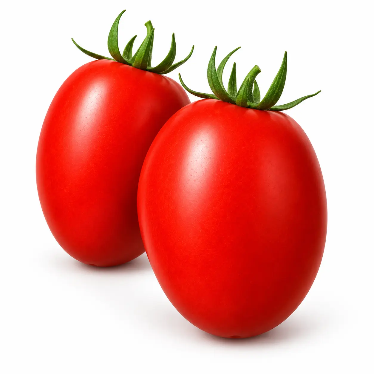 Variedad 12511 Tomate Pera