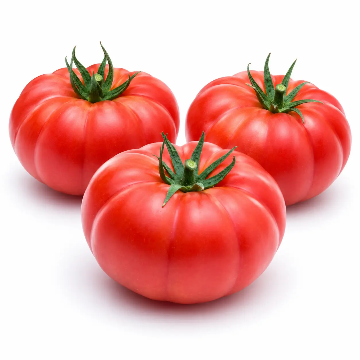 Variedad 12512 Tomate Marmande