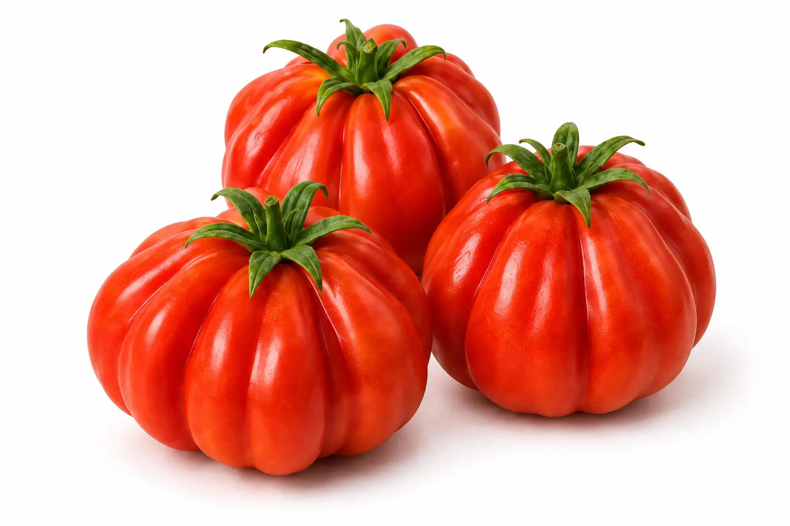 Variedad 12514 de Tailor Seeds
