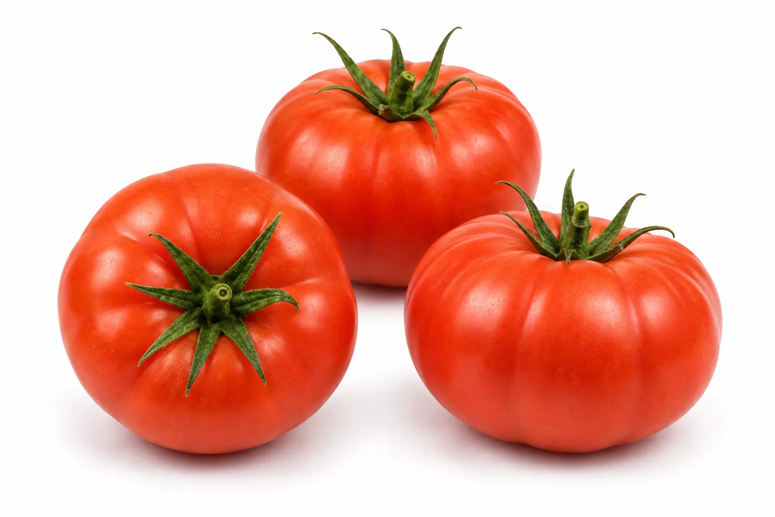Variedad 12516 de Tailor Seeds