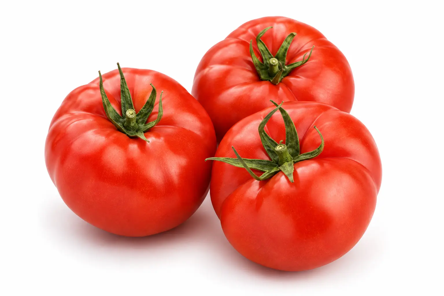 Variedad 12517 de Tailor Seeds