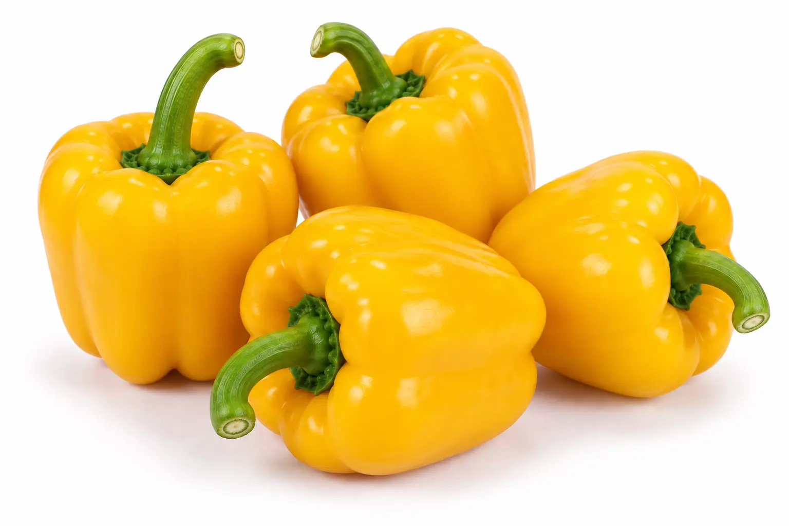 Variedad BPY 2604 de Tailor Seeds
