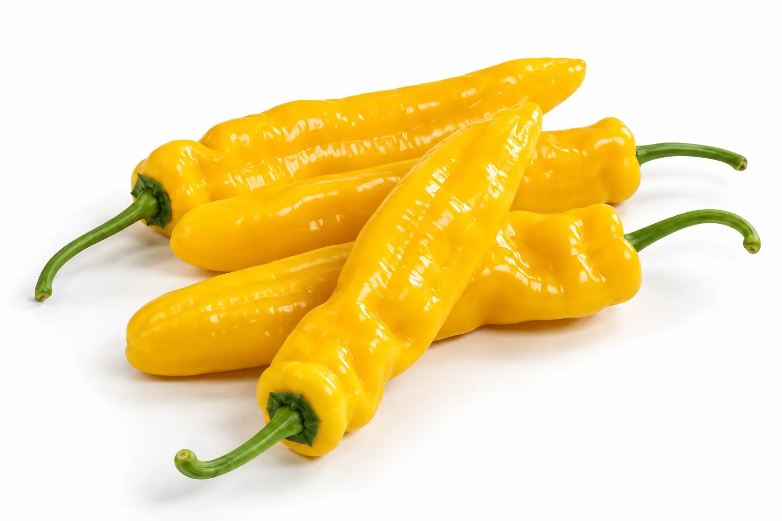 Variedad ICPY 2602 de Tailor Seeds